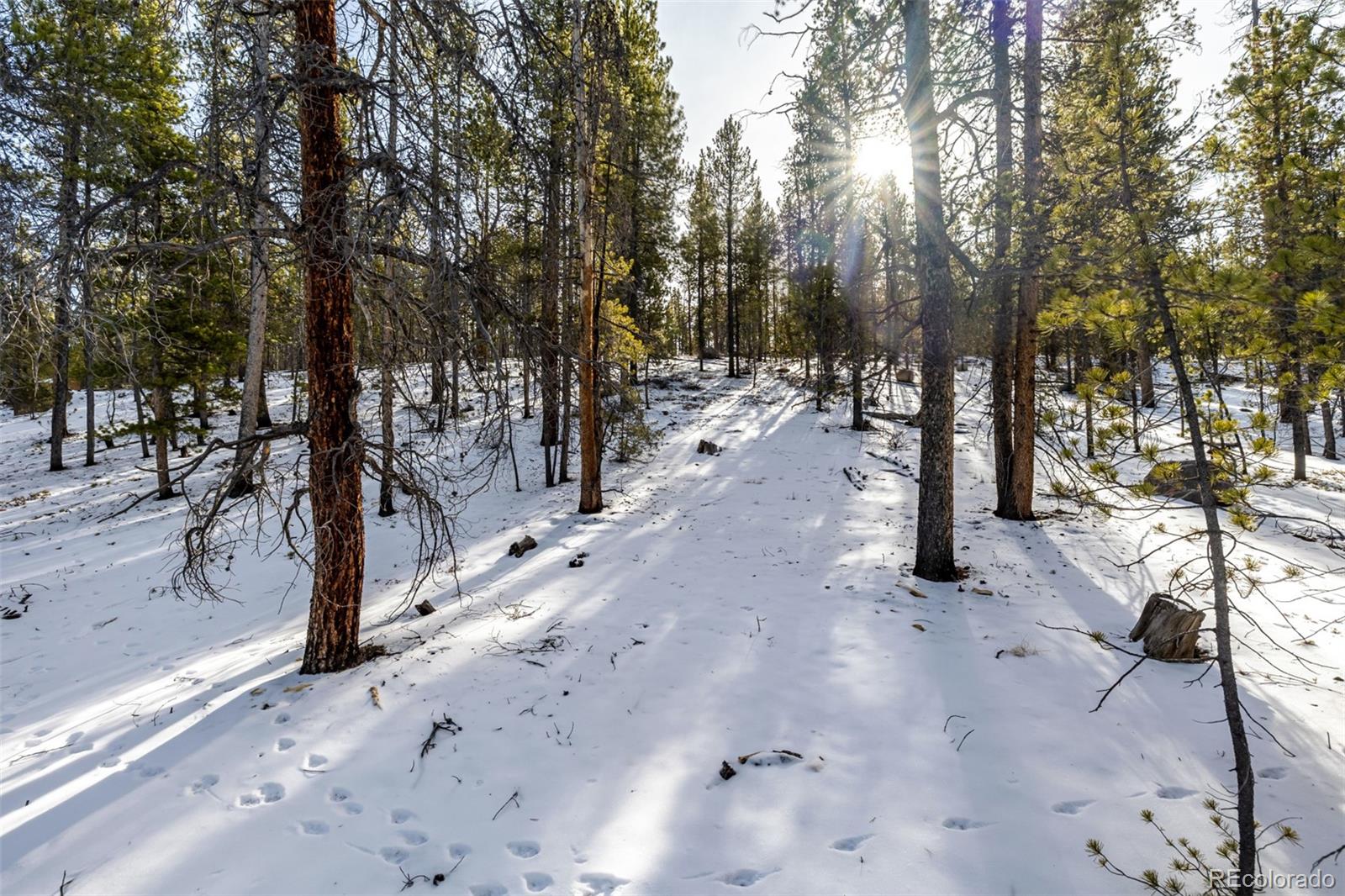 539 Sequoia Drive Leadville CO 80461
