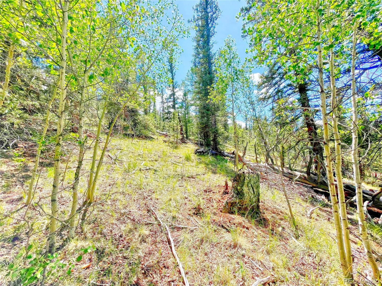 224 Apache Trail Como CO 80456