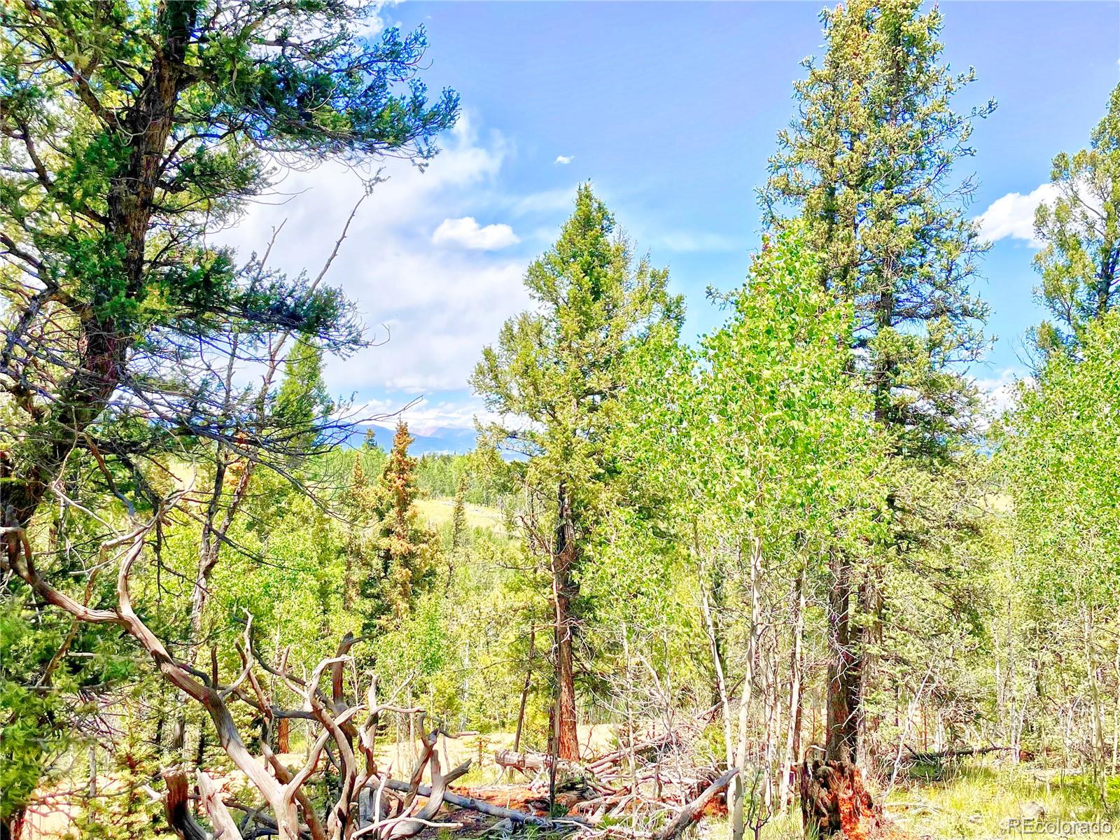 224 Apache Trail Como CO 80456