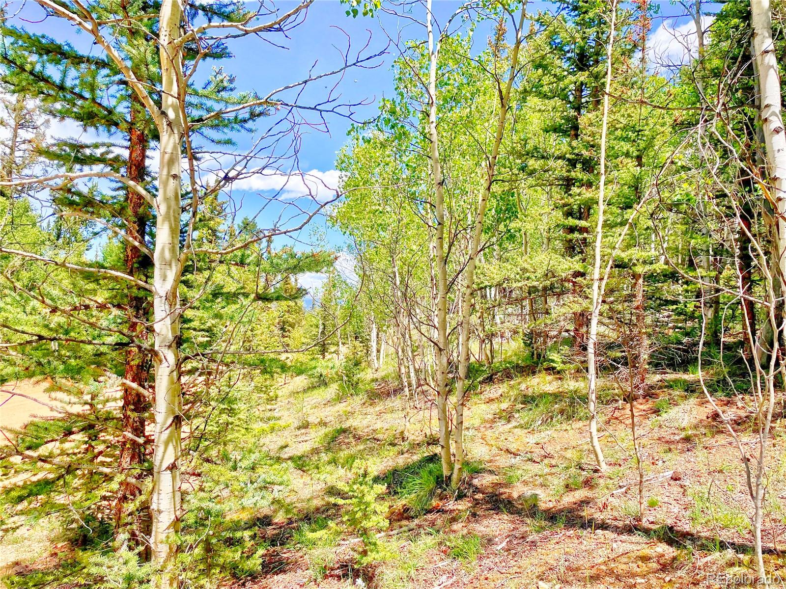 224 Apache Trail Como CO 80456
