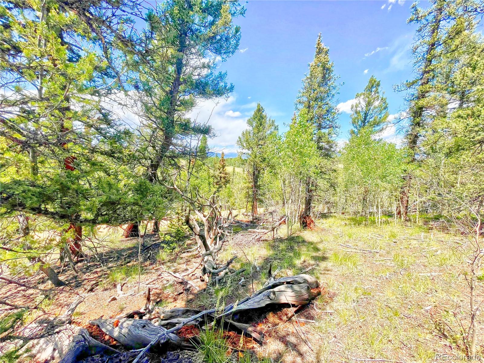 224 Apache Trail Como CO 80456