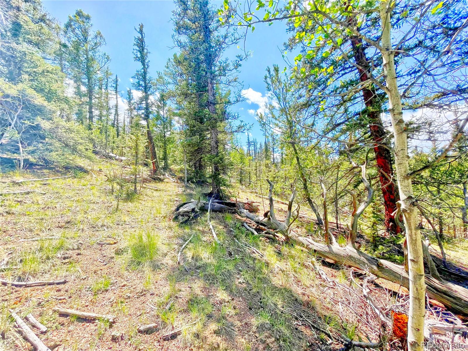 224 Apache Trail Como CO 80456