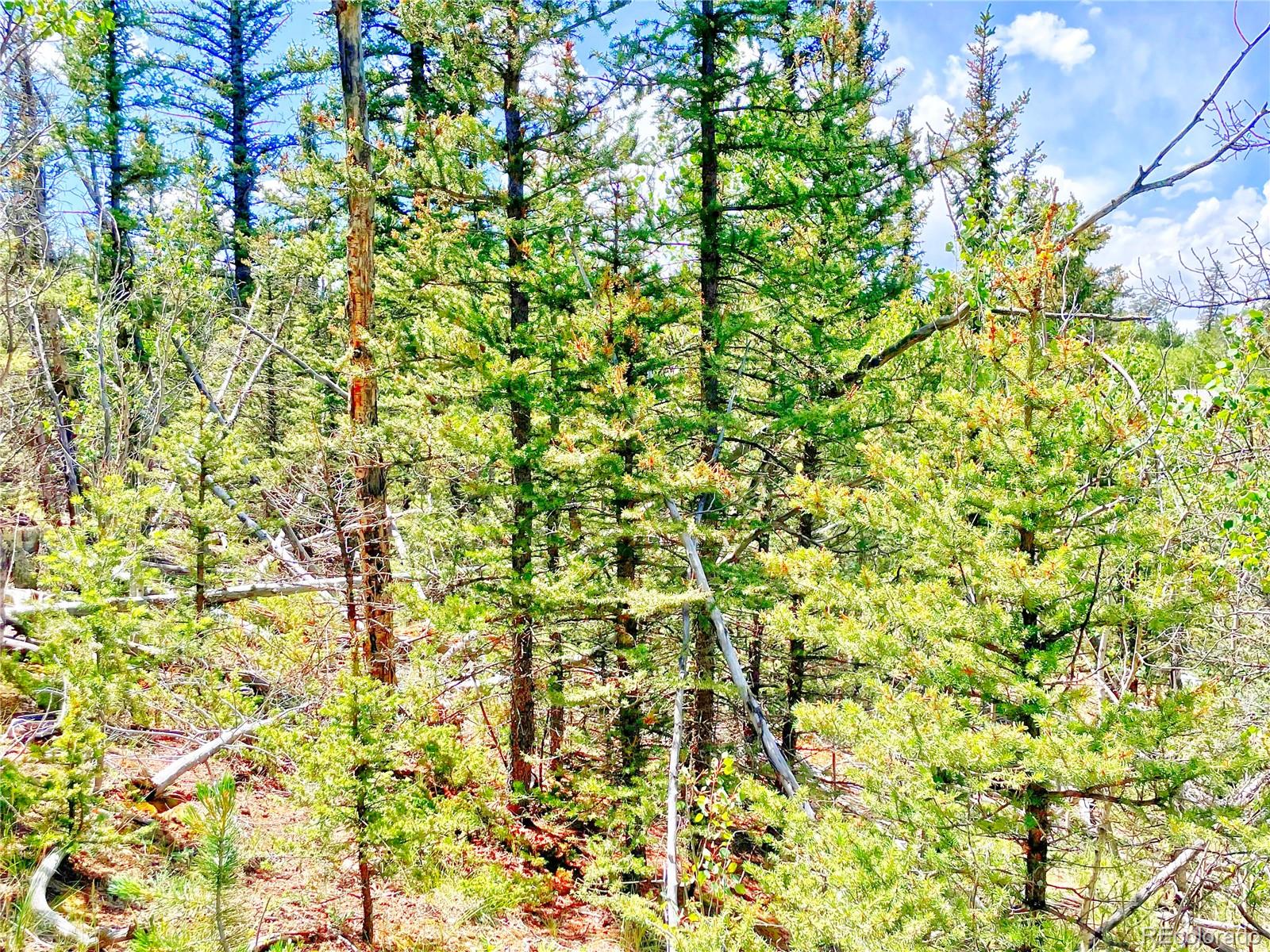 224 Apache Trail Como CO 80456