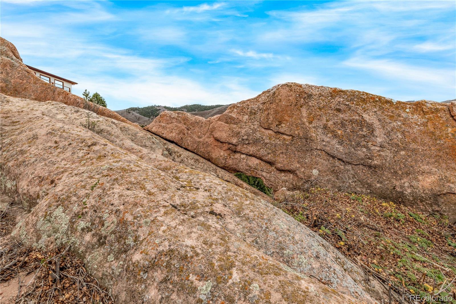 7708 Hawks Nest Trail Littleton CO 80125