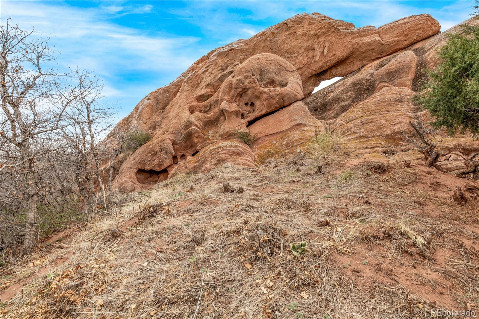 7708 Hawks Nest Trail Littleton CO 80125