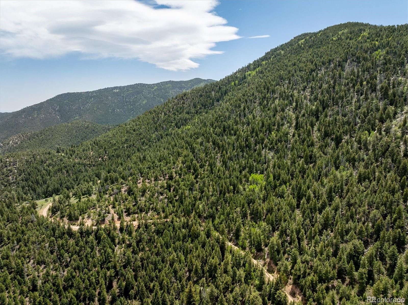 1259 Chute Road Golden CO 80403