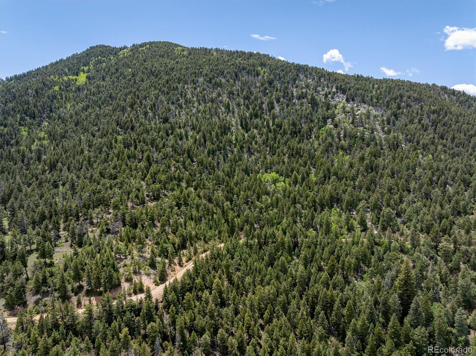 1259 Chute Road Golden CO 80403
