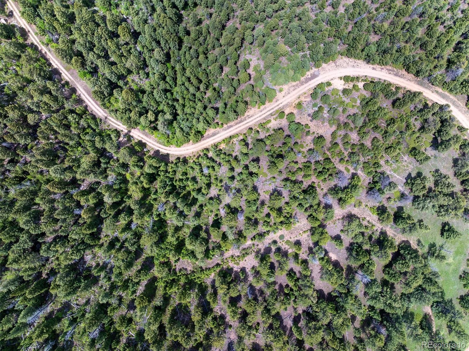 1259 Chute Road Golden CO 80403