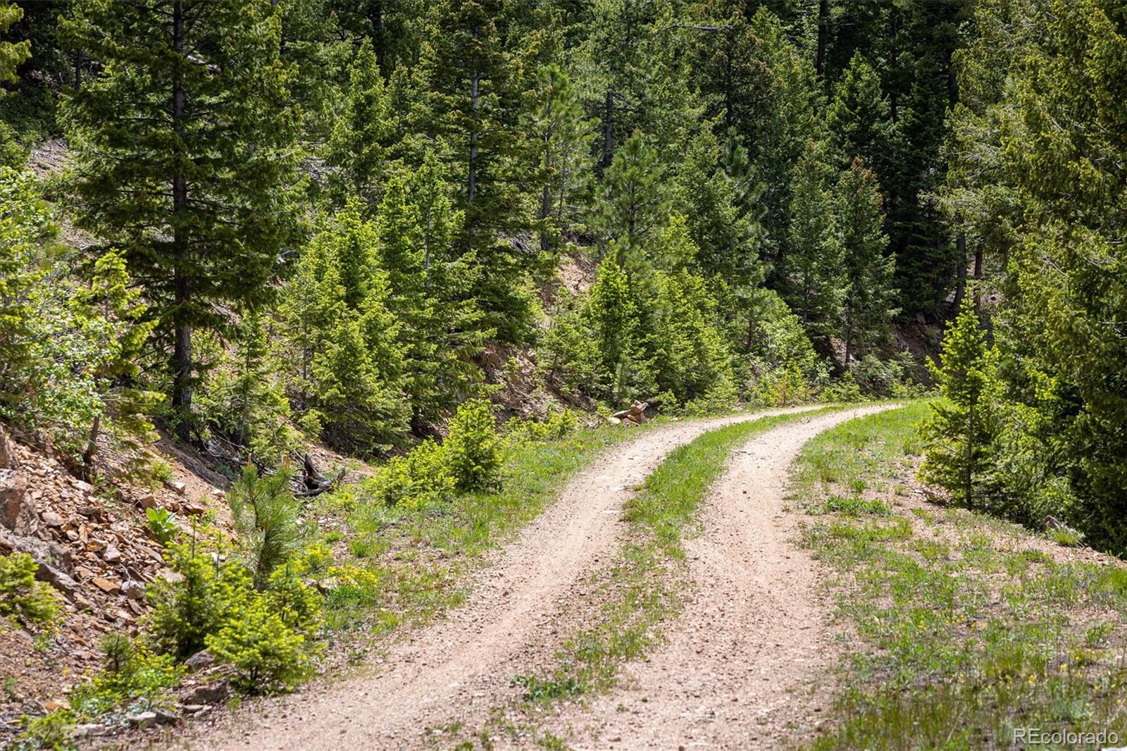 1259 Chute Road Golden CO 80403