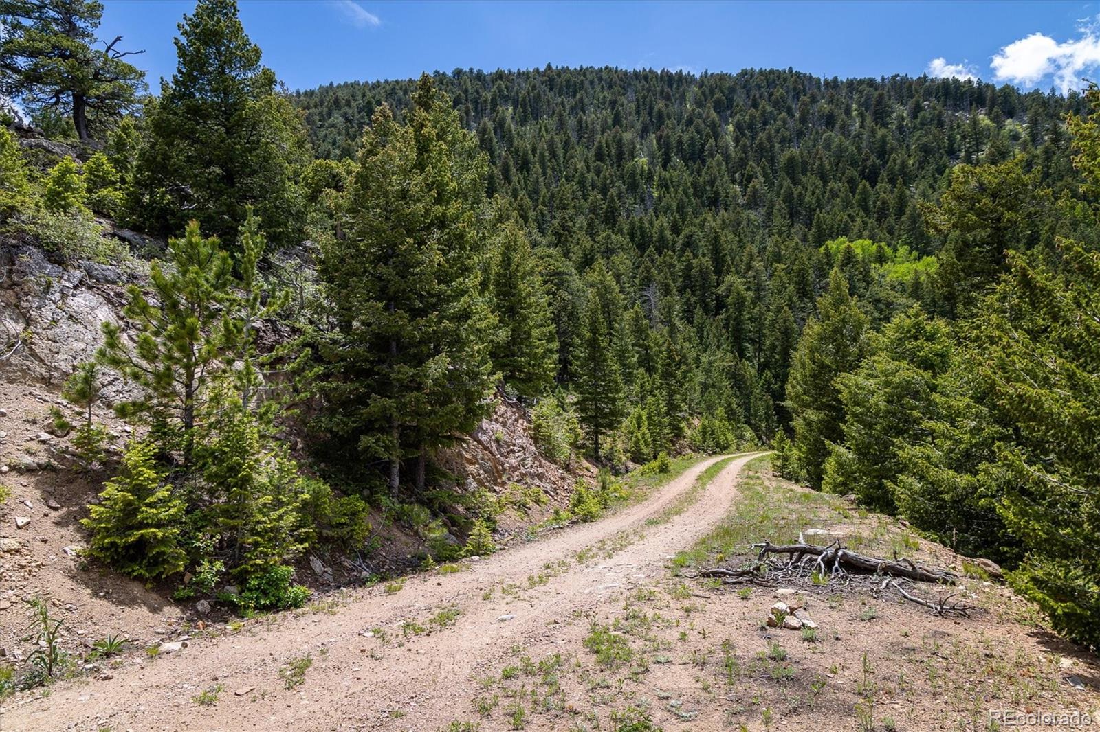 1259 Chute Road Golden CO 80403