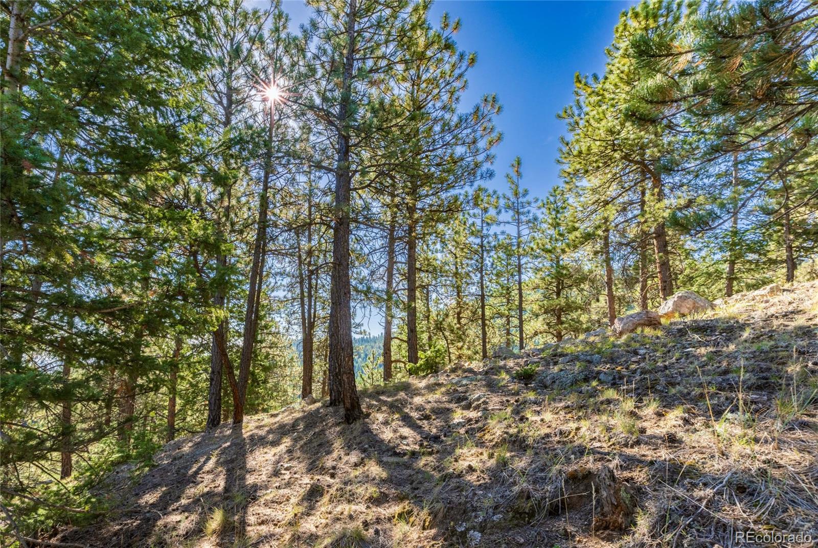 155 Millionaire Drive W Boulder CO 80302