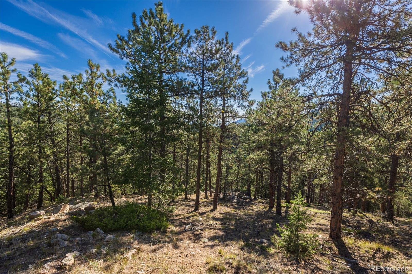 155 Millionaire Drive W Boulder CO 80302