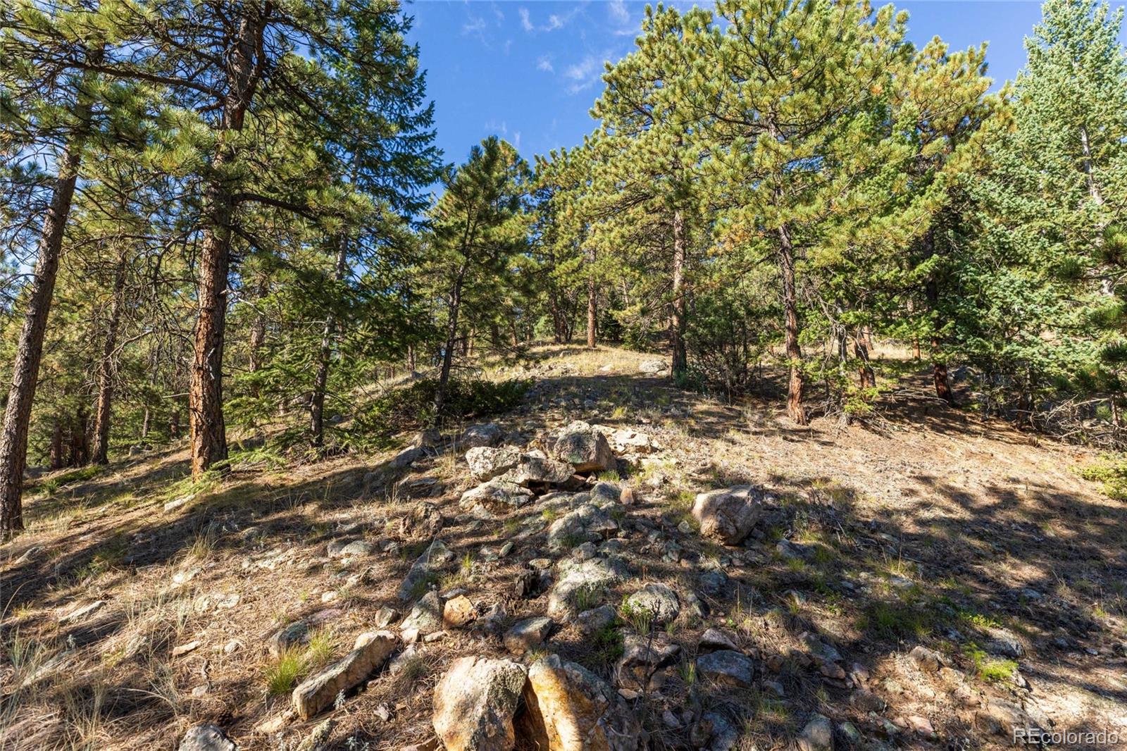 155 Millionaire Drive W Boulder CO 80302