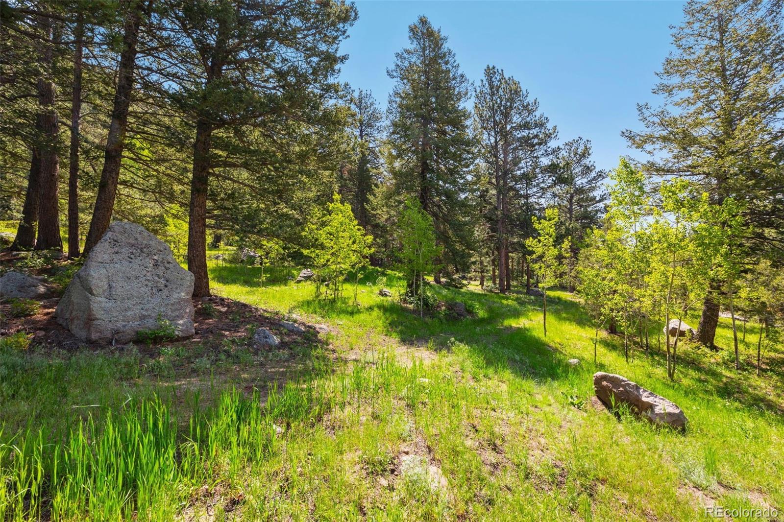 6161 Us Highway 36 Estes Park CO 80517
