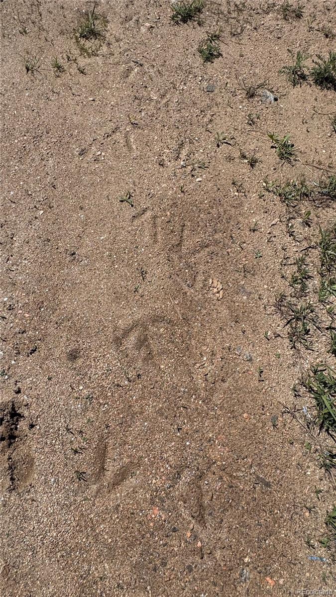 17222 Little Shadow Trail Littleton CO 80127