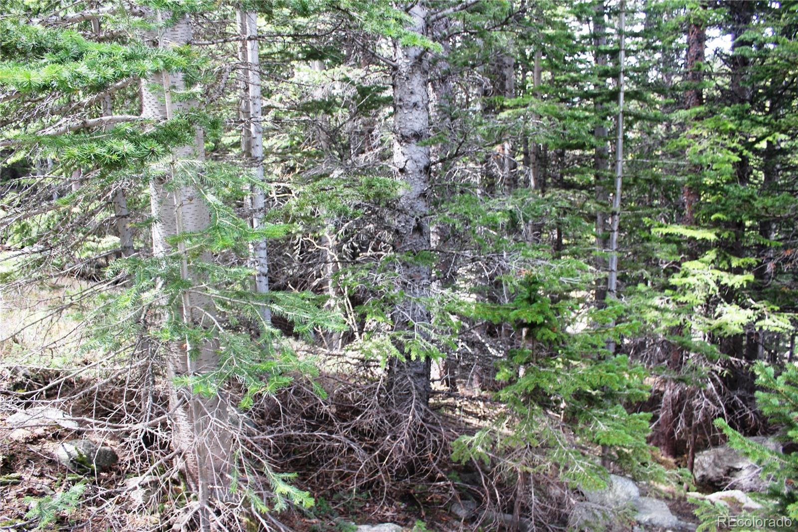 00 Mine Road Idaho Springs CO 80461