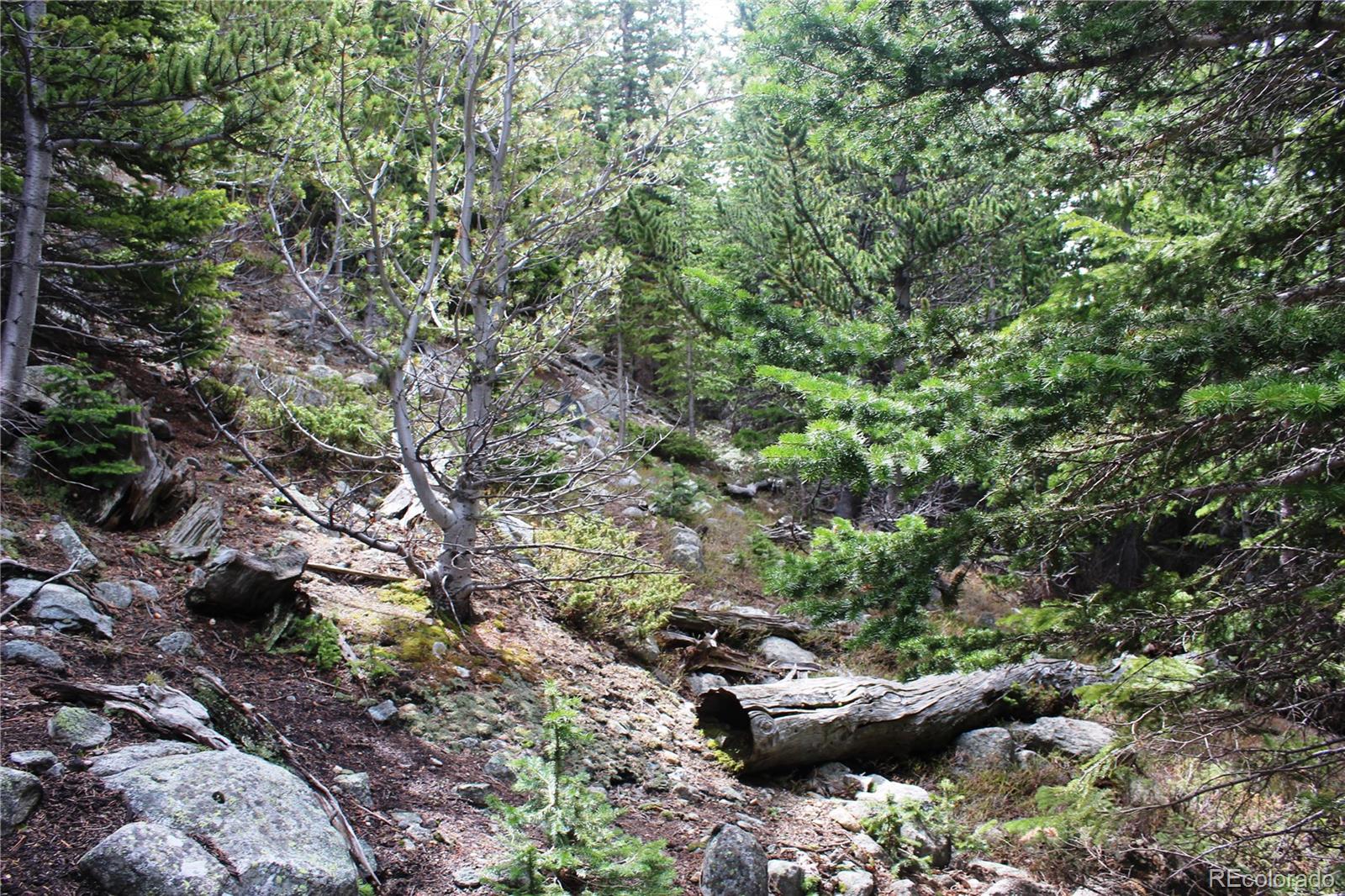 00 Mine Road Idaho Springs CO 80461