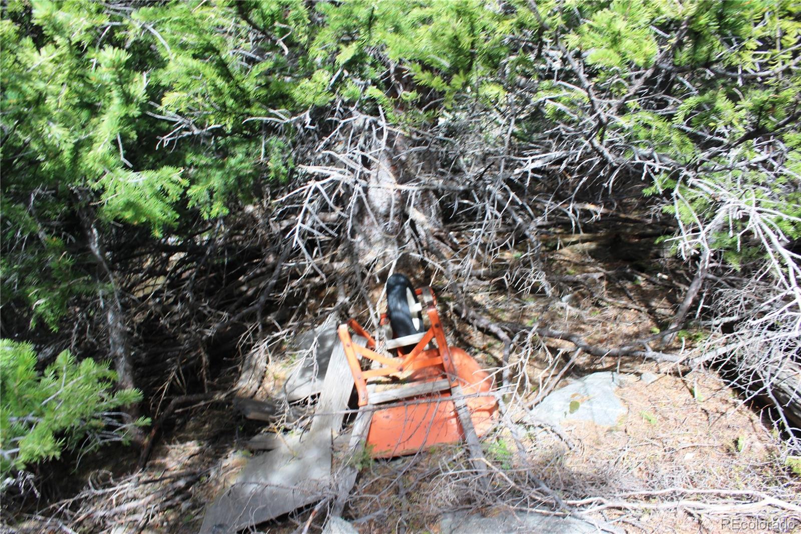 00 Mine Road Idaho Springs CO 80461