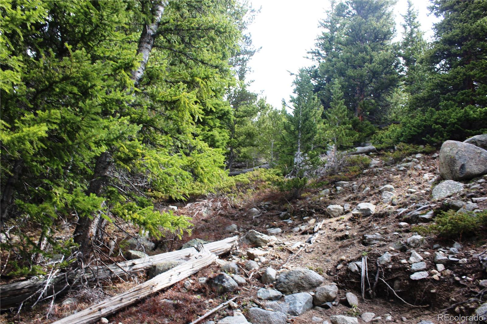 00 Mine Road Idaho Springs CO 80461