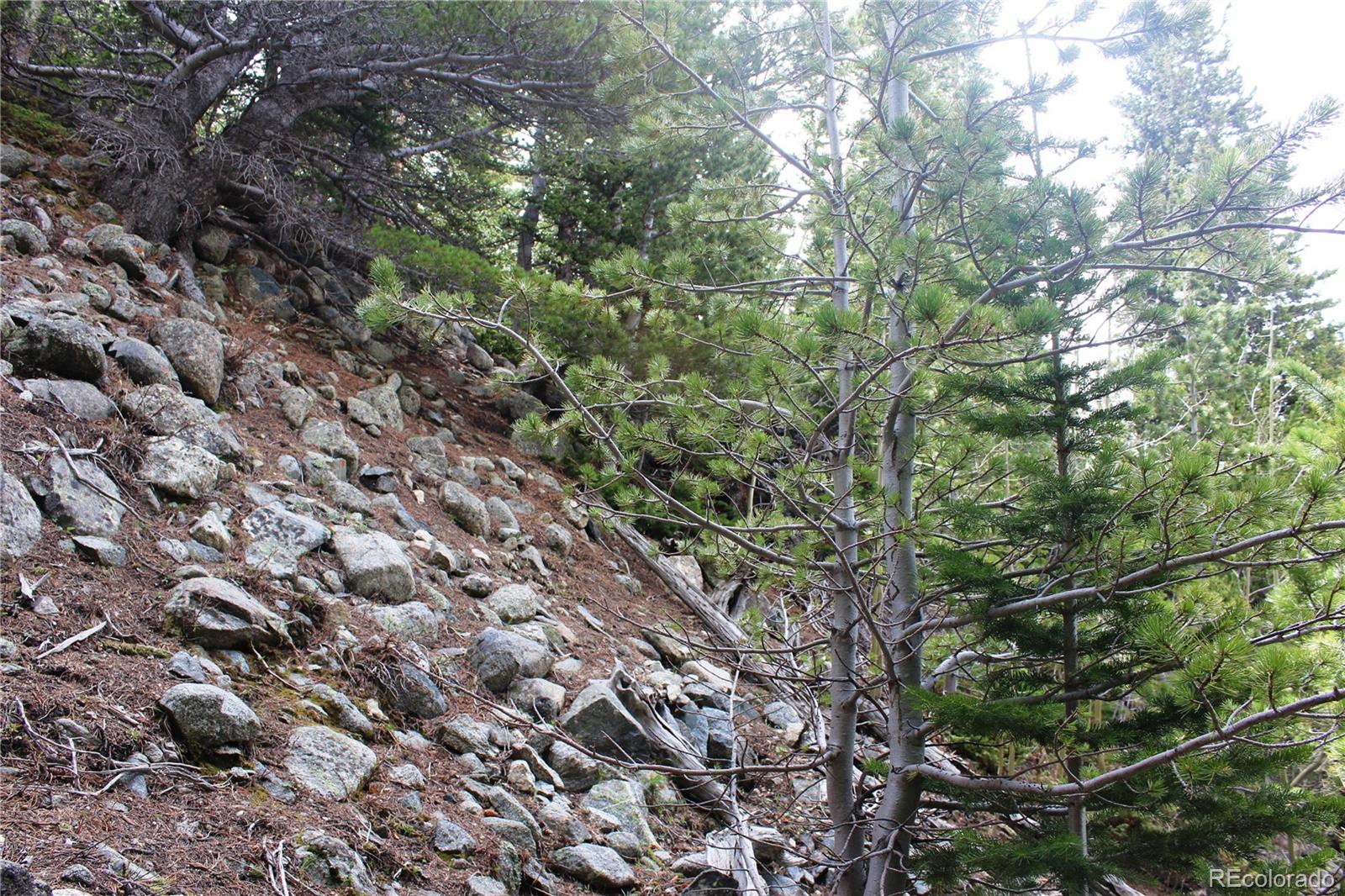 00 Mine Road Idaho Springs CO 80461