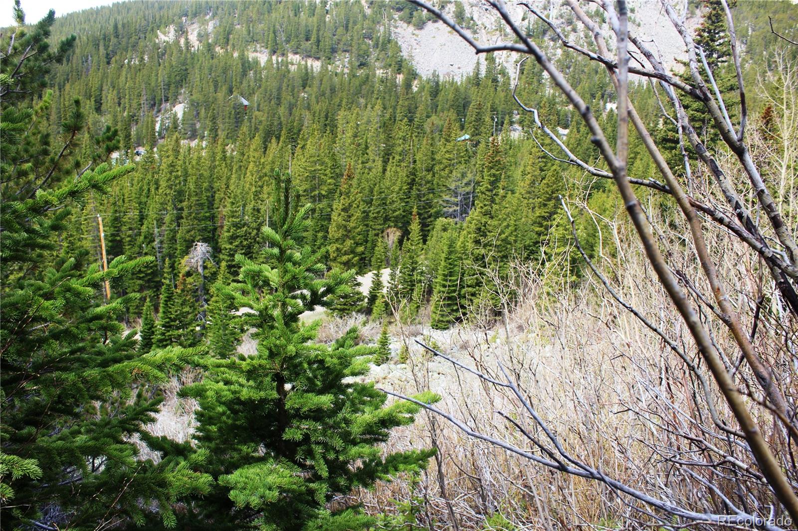 00 Mine Road Idaho Springs CO 80461
