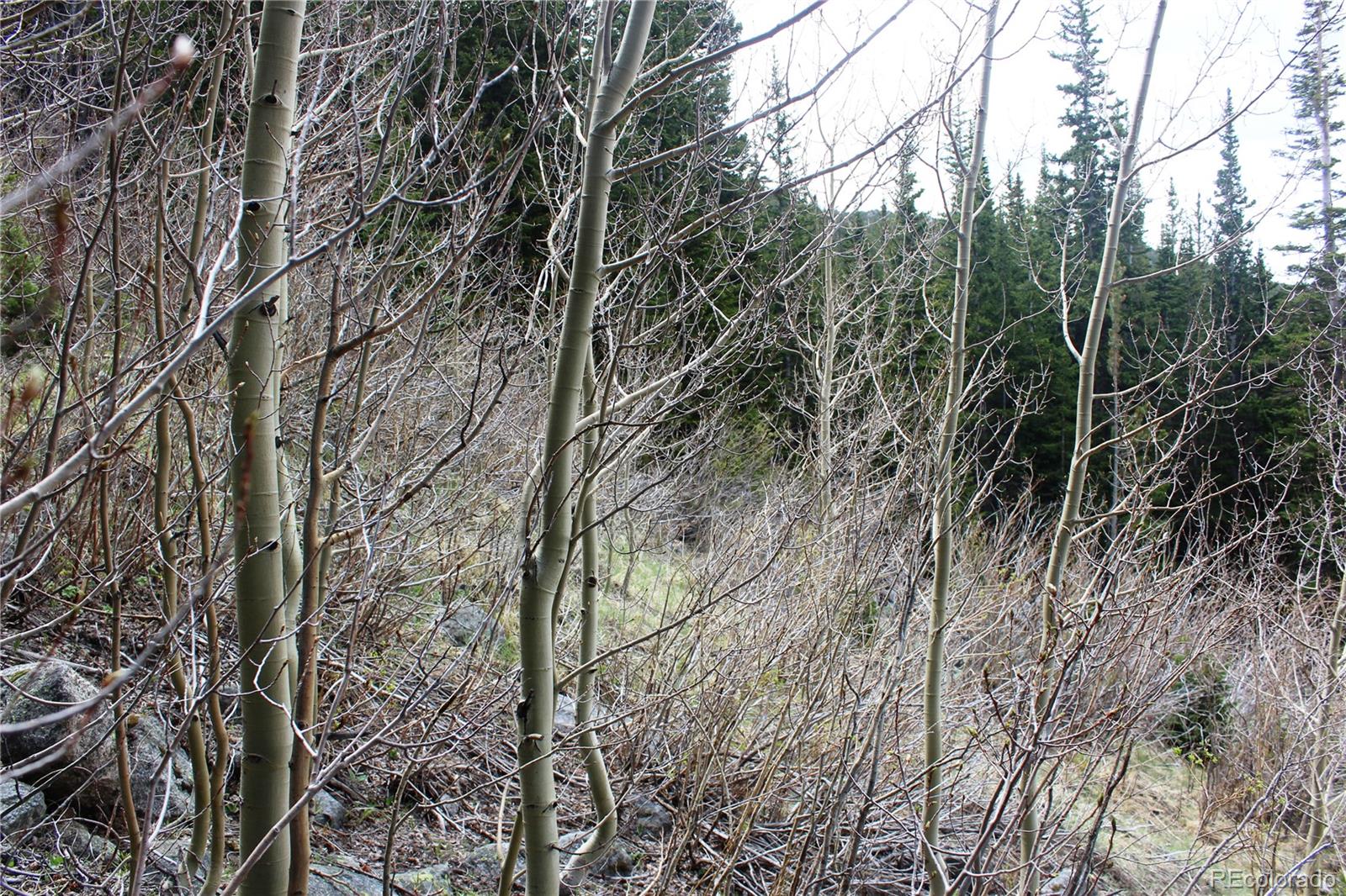 00 Mine Road Idaho Springs CO 80461