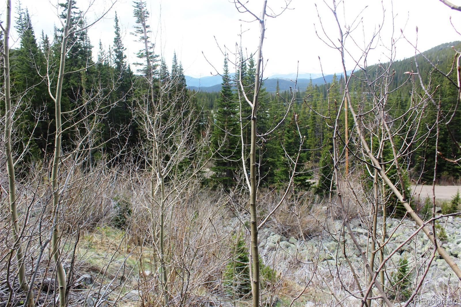 00 Mine Road Idaho Springs CO 80461