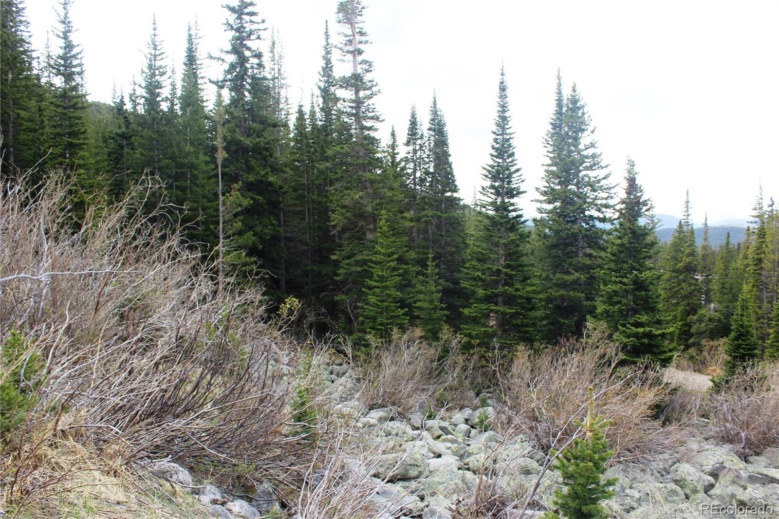 00 Mine Road Idaho Springs CO 80461