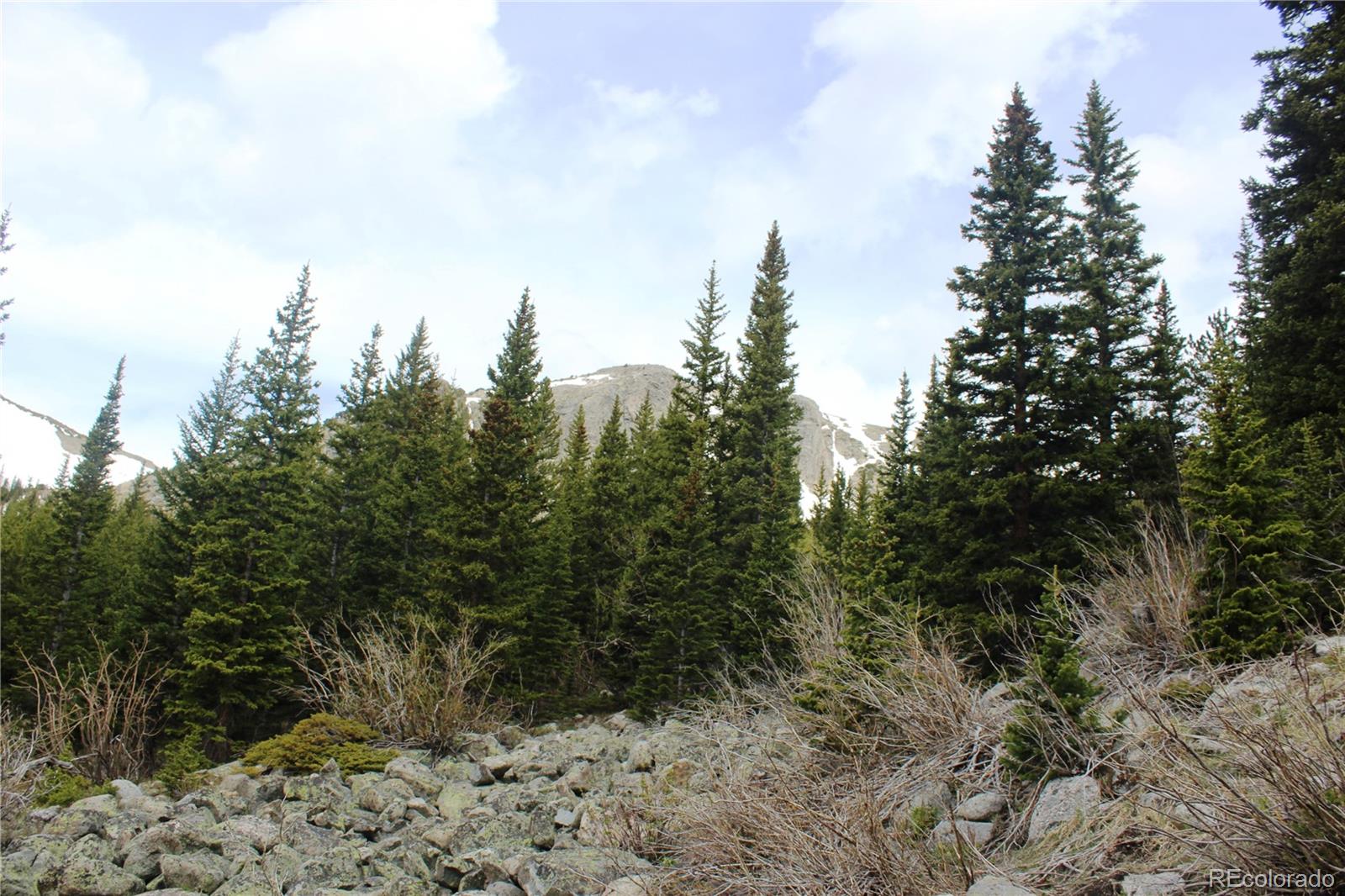 00 Mine Road Idaho Springs CO 80461