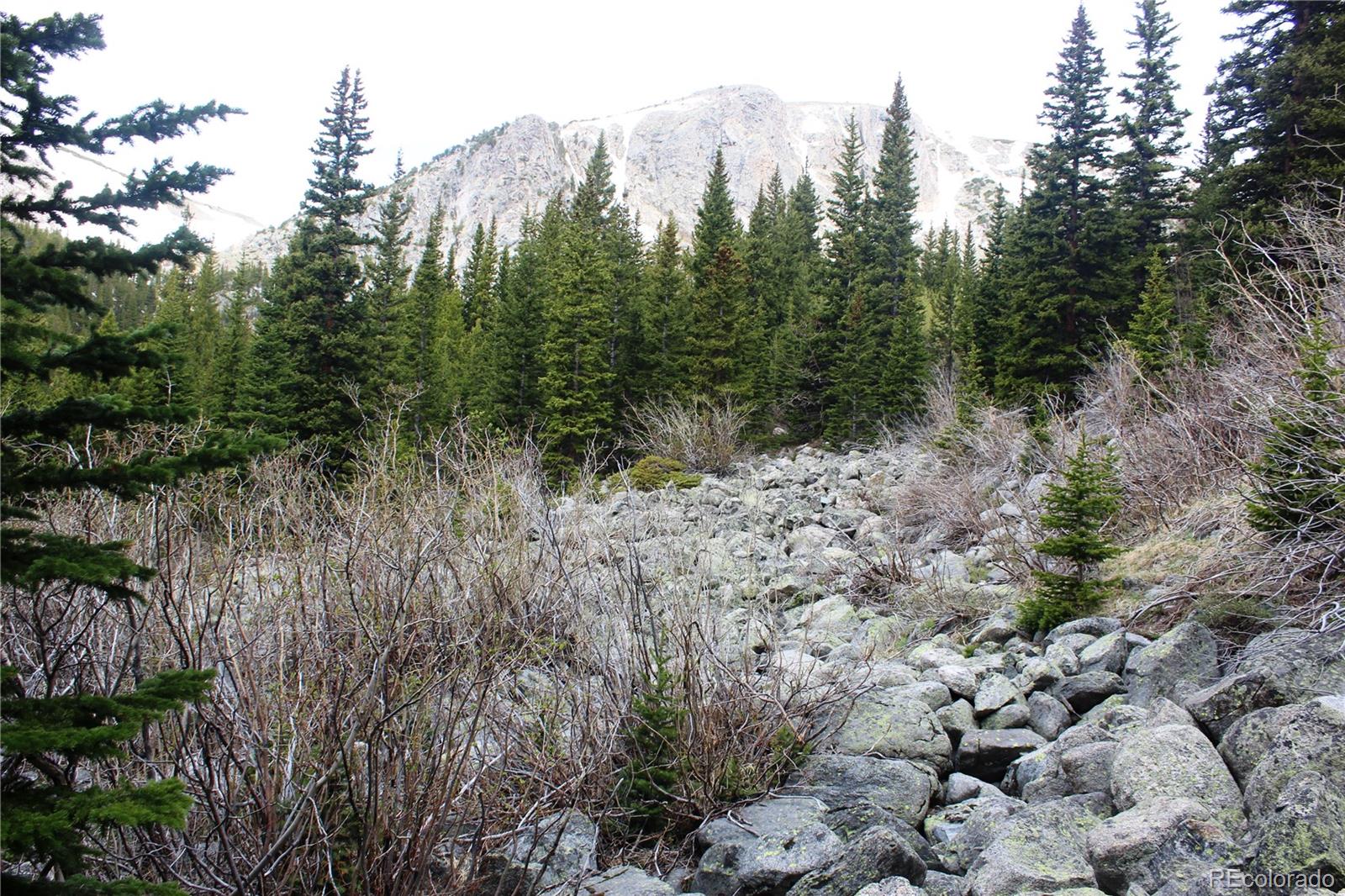 00 Mine Road Idaho Springs CO 80461