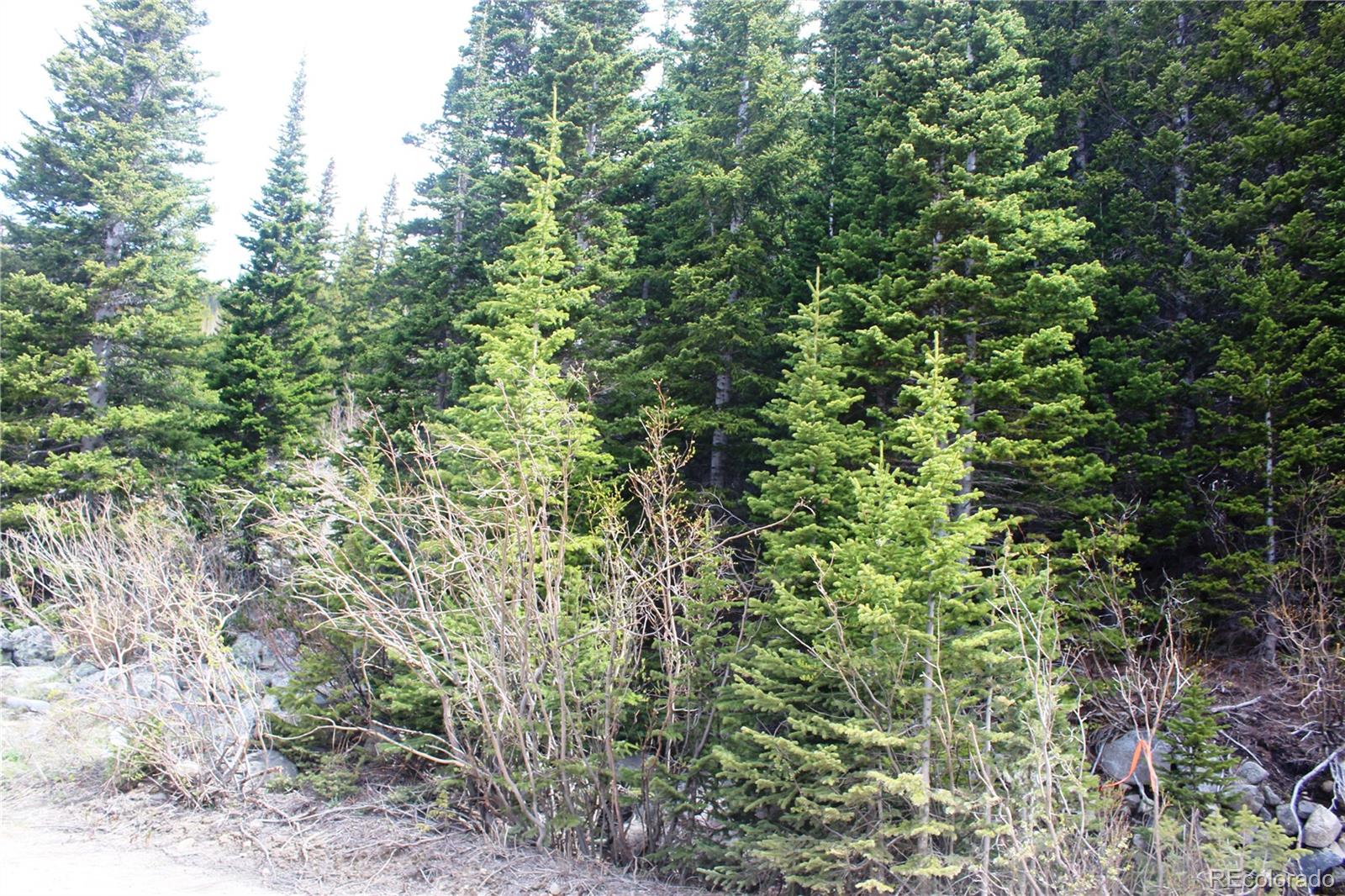 00 Mine Road Idaho Springs CO 80461