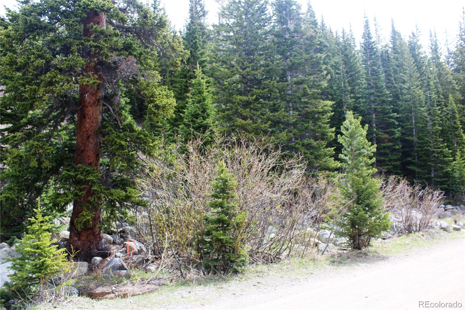 00 Mine Road Idaho Springs CO 80461