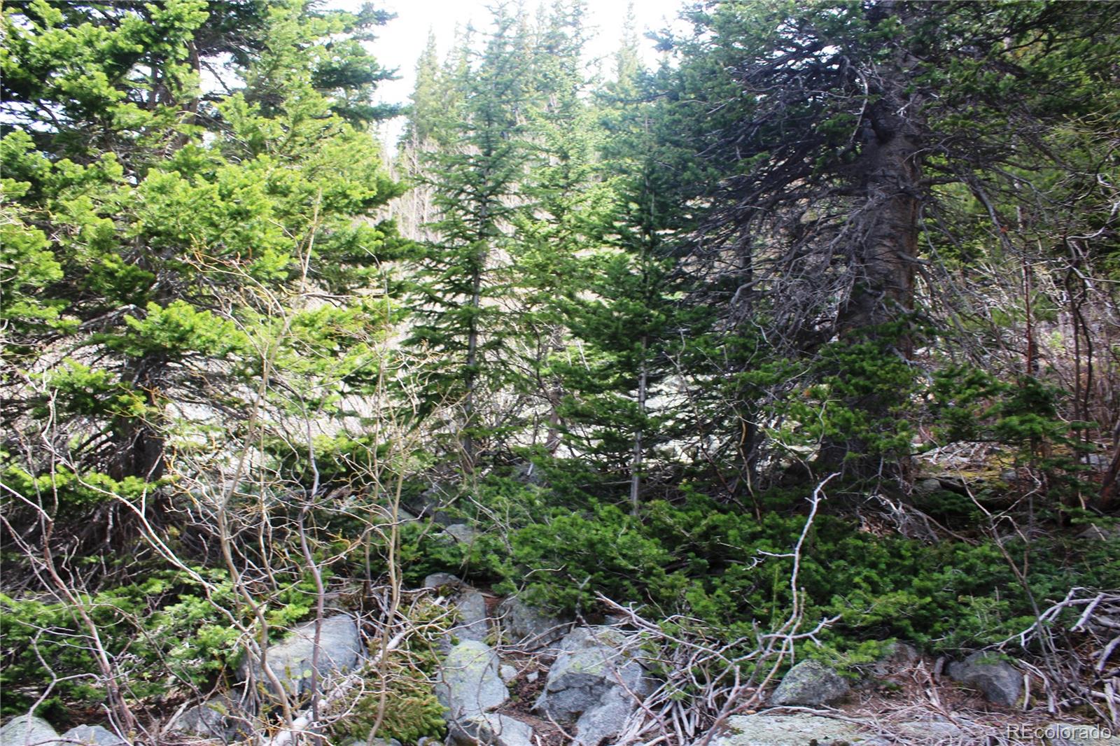 00 Mine Road Idaho Springs CO 80461