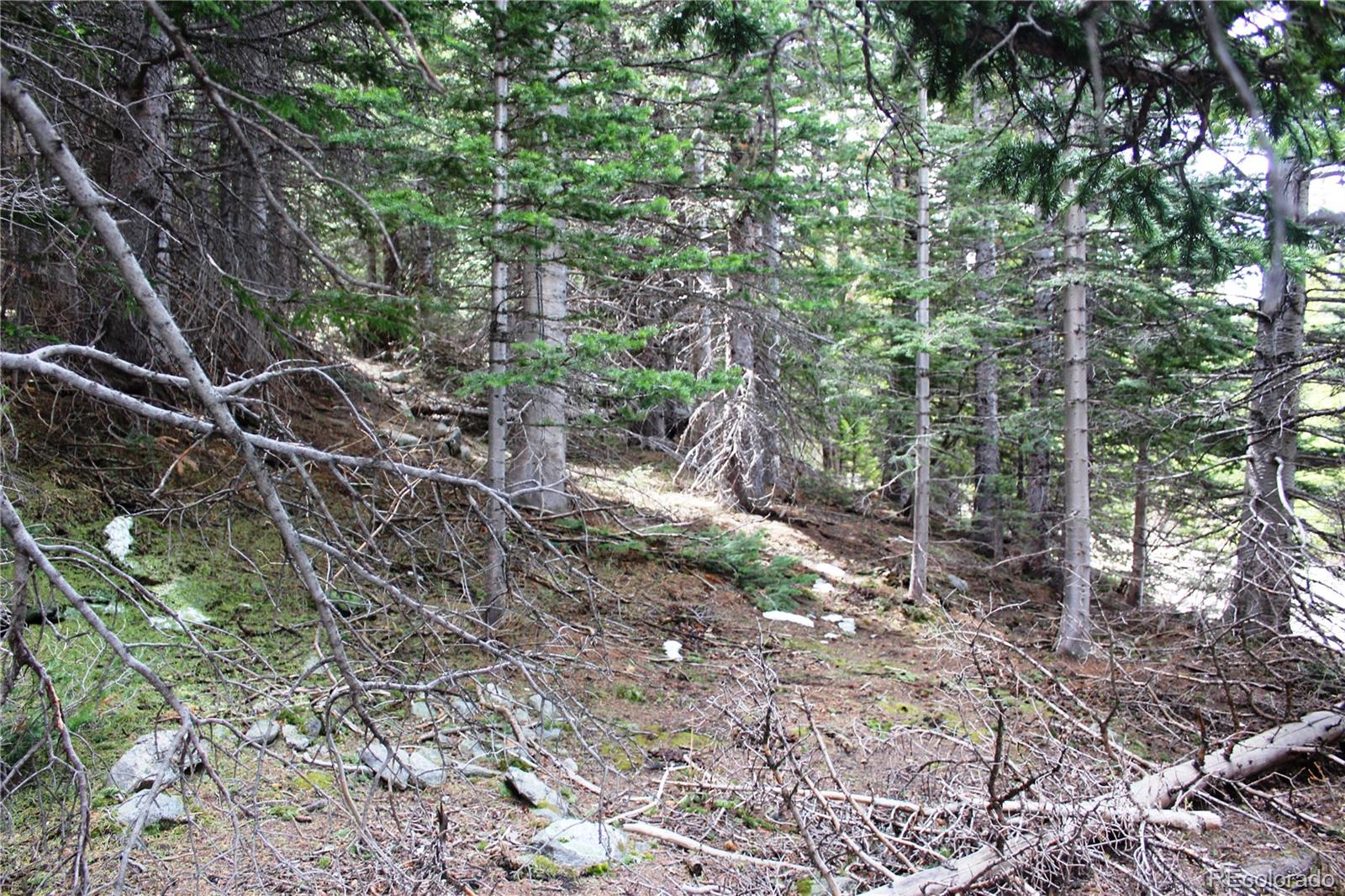 00 Mine Road Idaho Springs CO 80461