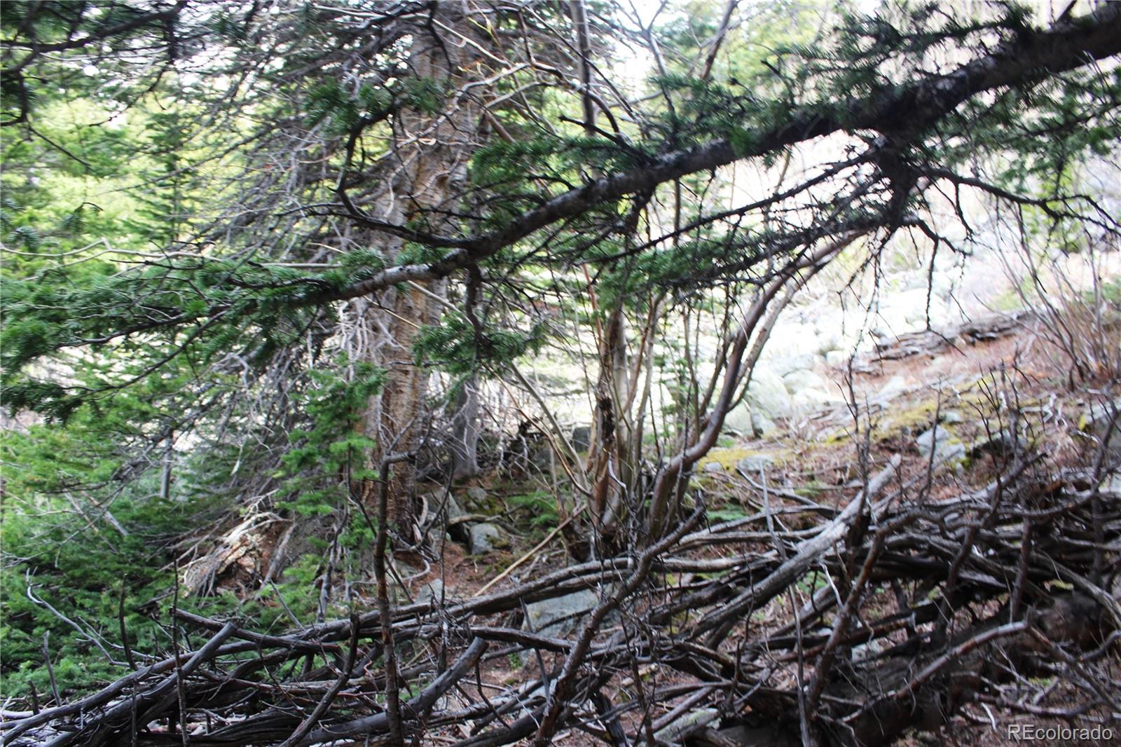 00 Mine Road Idaho Springs CO 80461