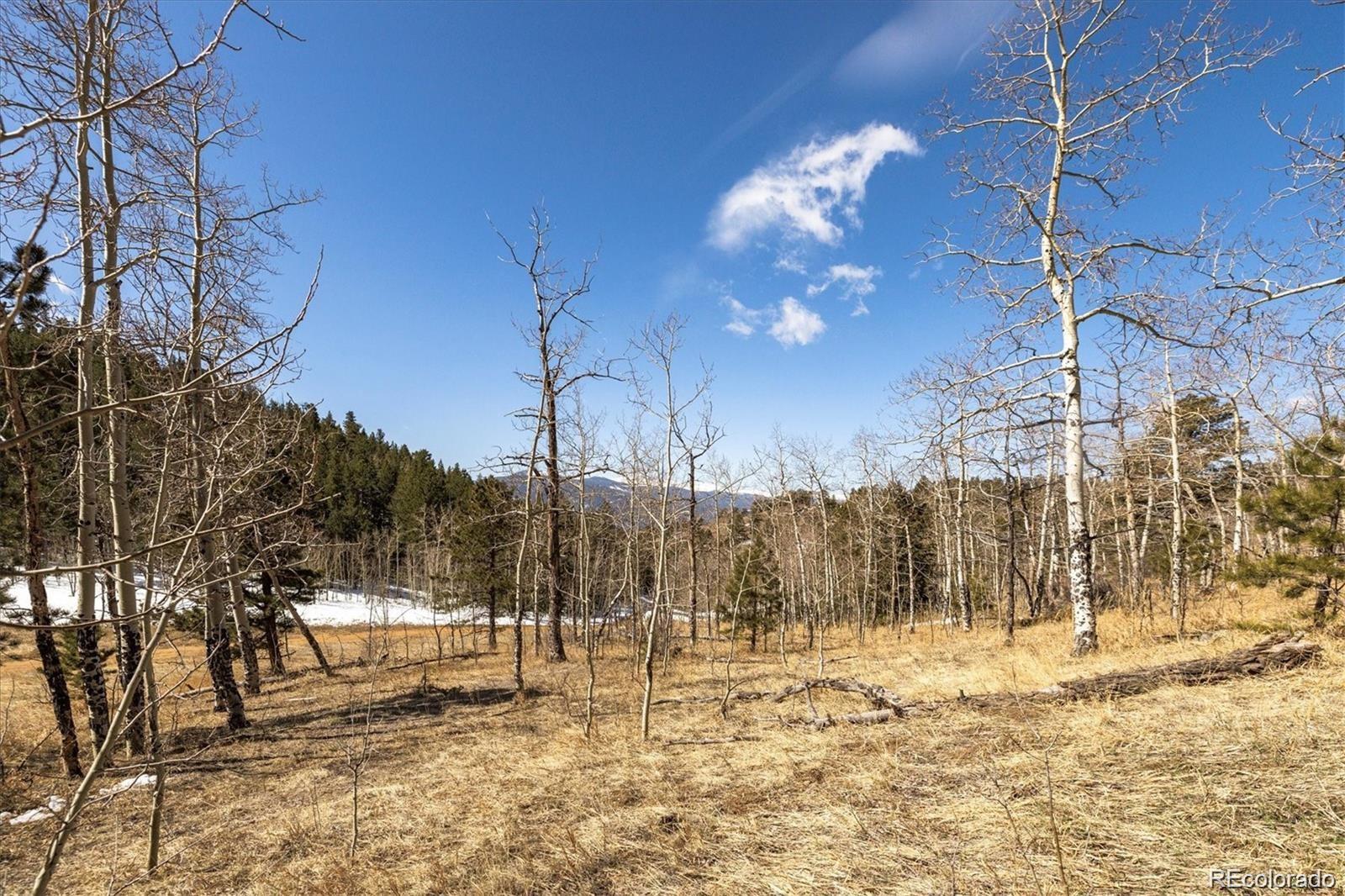 3 Red Tail Ranch Golden CO 80403