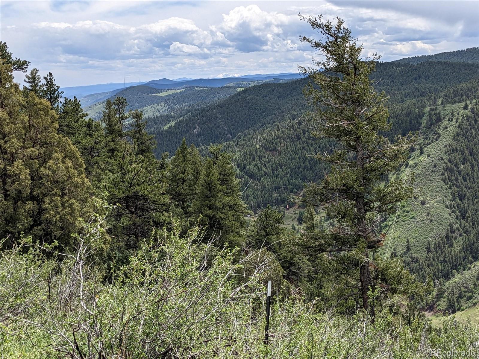 25421 Westridge Road Golden CO 80403