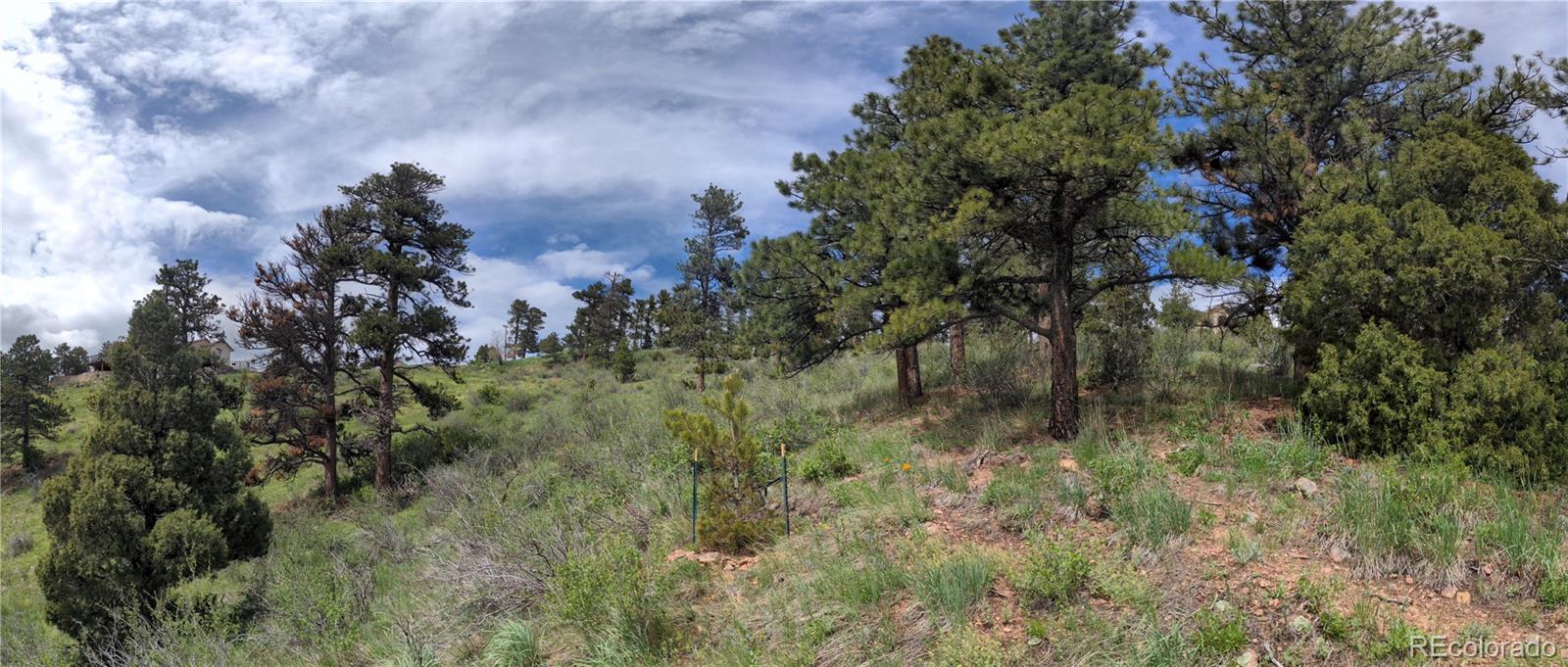 25421 Westridge Road Golden CO 80403