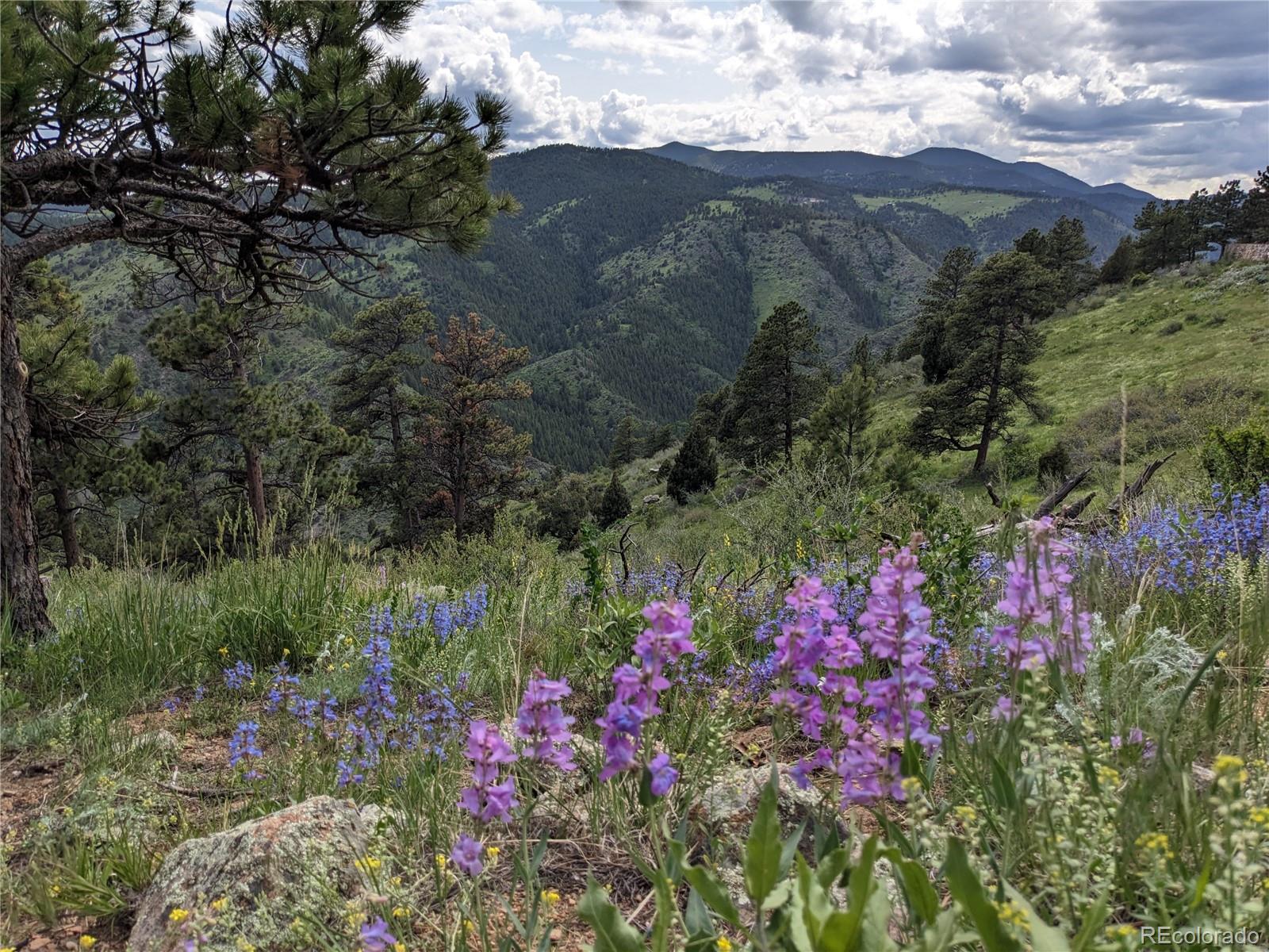 25421 Westridge Road Golden CO 80403