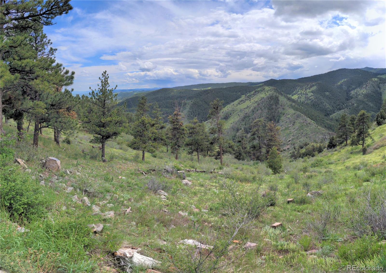 25421 Westridge Road Golden CO 80403