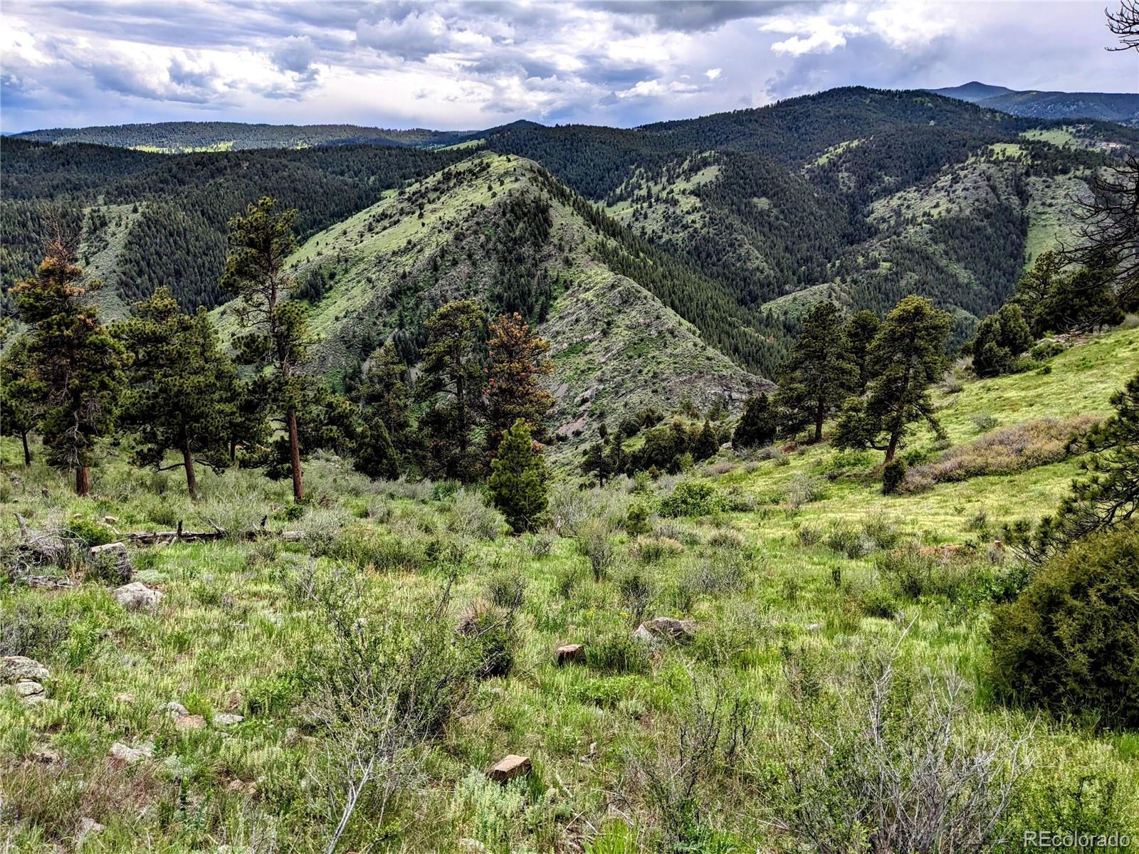 25421 Westridge Road Golden CO 80403