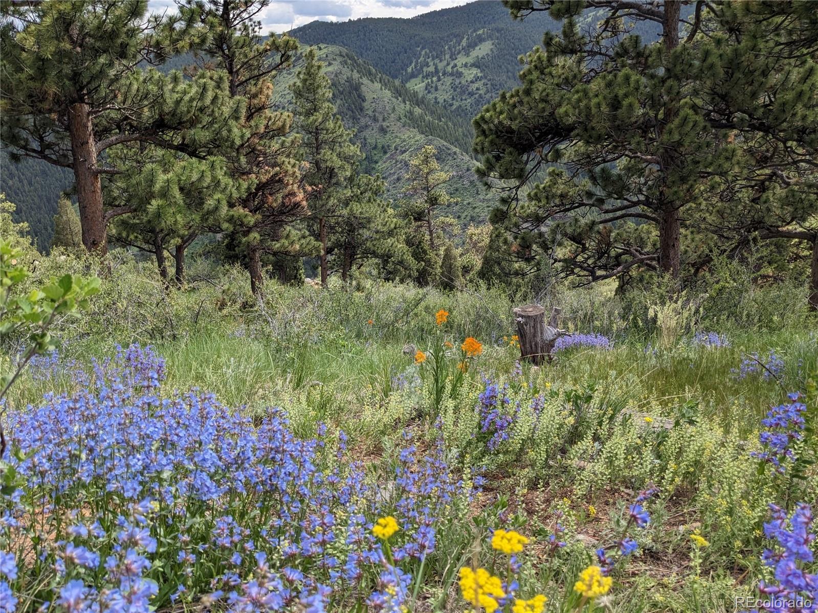 25421 Westridge Road Golden CO 80403