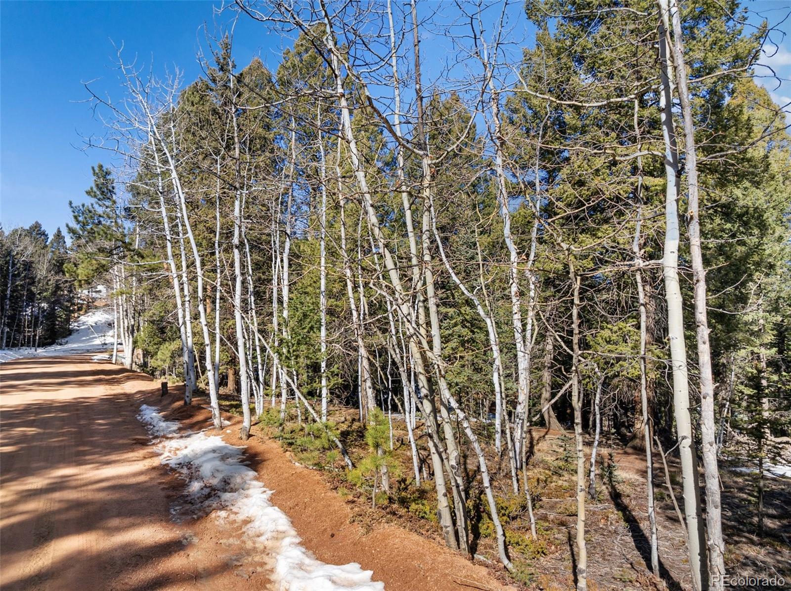810 Ridge Road Divide CO 80814