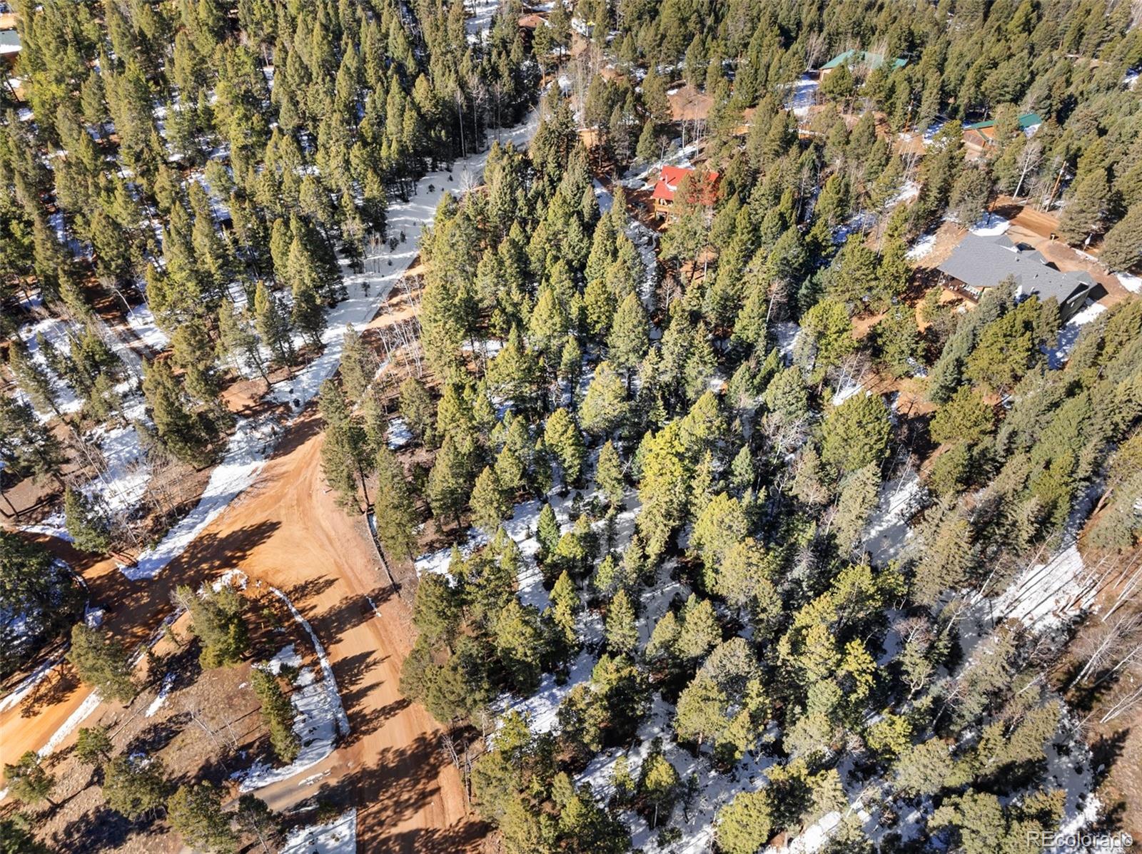 810 Ridge Road Divide CO 80814