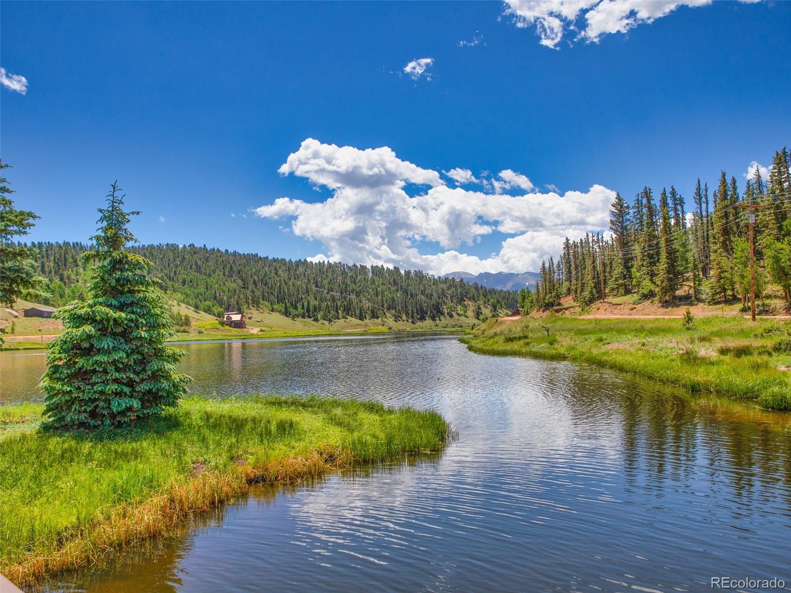 810 Ridge Road Divide CO 80814
