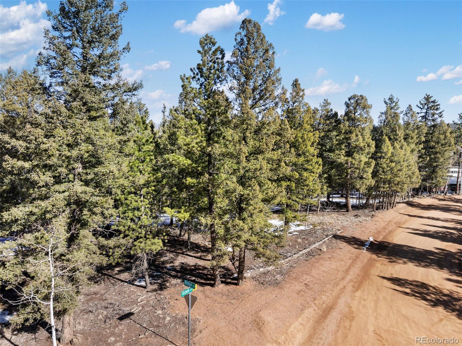 810 Ridge Road Divide CO 80814