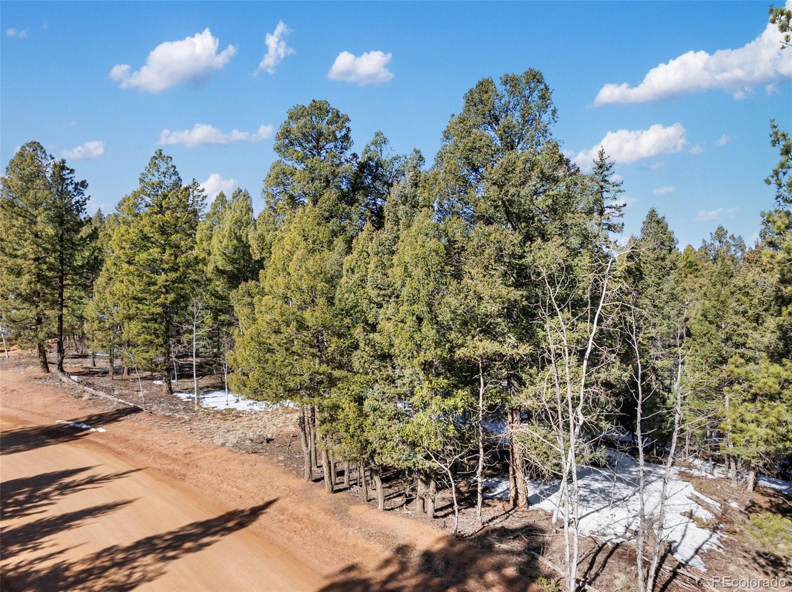 810 Ridge Road Divide CO 80814