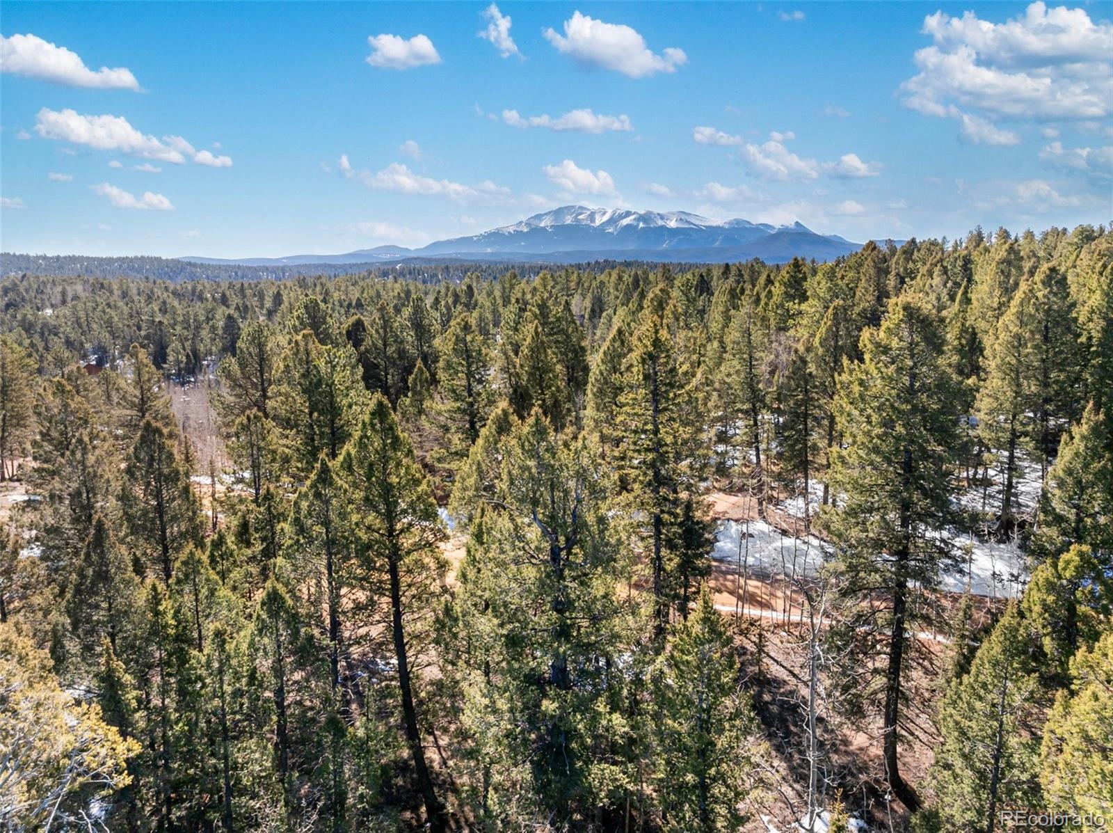 810 Ridge Road Divide CO 80814