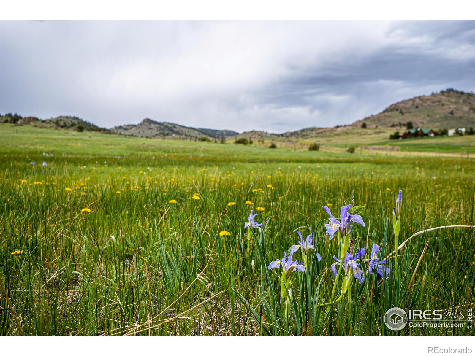 816 Meadow Way Livermore CO 80536