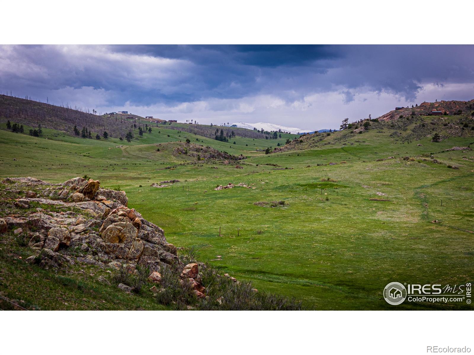 816 Meadow Way Livermore CO 80536